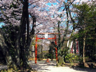 毘沙門天の鳥居